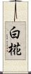 白椛 Scroll