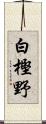 白樫野 Scroll