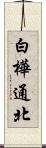 白樺通北 Scroll