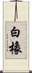 白橡 Scroll