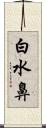 白水鼻 Scroll