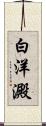 白洋澱 Scroll