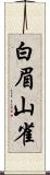 白眉山雀 Scroll