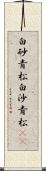 白砂青松 Scroll