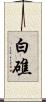 白礁 Scroll