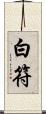 白符 Scroll