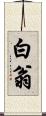 白翁 Scroll