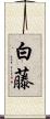 白藤 Scroll