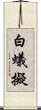 白蟻擬 Scroll
