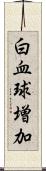 白血球増加 Scroll