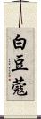 白豆蔻 Scroll