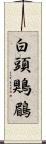 白頭鶪鶥 Scroll