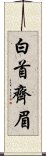 白首齊眉 Scroll