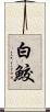 白鮫 Scroll