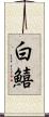 白鱚 Scroll