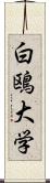 白鴎大学 Scroll