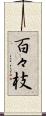 百々枝 Scroll