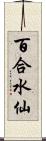 百合水仙 Scroll