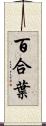 百合葉 Scroll