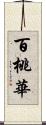 百桃華 Scroll