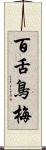 百舌鳥梅 Scroll