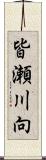 皆瀬川向 Scroll