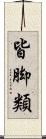 皆脚類 Scroll