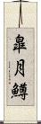 皐月鱒 Scroll