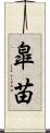 皐苗 Scroll