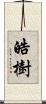 皓樹 Scroll