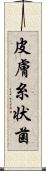 皮膚糸状菌 Scroll