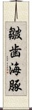 皺歯海豚 Scroll