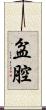 盆腔 Scroll