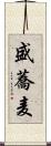 盛蕎麦 Scroll