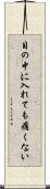 目の中に入れても痛くない Scroll