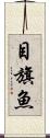 目旗魚 Scroll