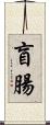 盲腸 Scroll