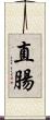 直腸 Scroll