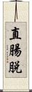 直腸脱 Scroll