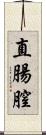 直腸膣 Scroll
