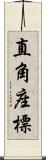 直角座標 Scroll