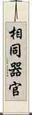 相同器官 Scroll