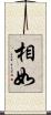 相如 Scroll