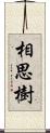 相思樹 Scroll