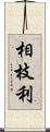 相枝利 Scroll