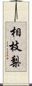 相枝梨 Scroll