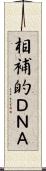 相補的ＤＮＡ Scroll
