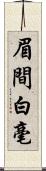 眉間白毫 Scroll