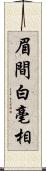 眉間白毫相 Scroll