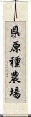 県原種農場 Scroll